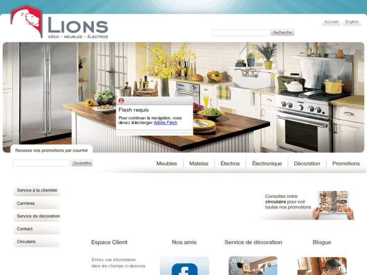 www.e-lions.com