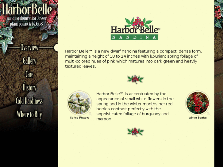 www.harbor-belle.com