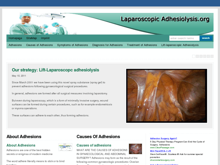 www.laparoscopicadhesiolysis.org