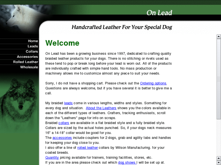 www.onlead.biz