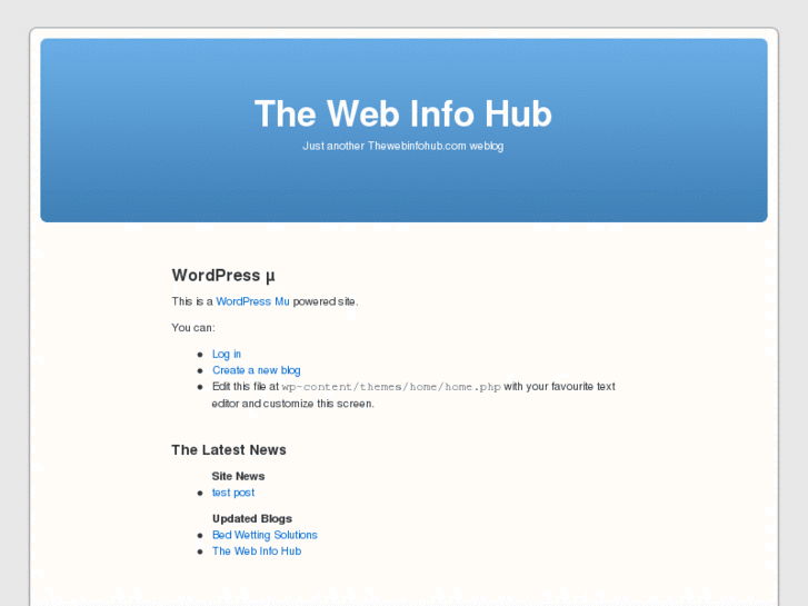 www.thewebinfohub.com