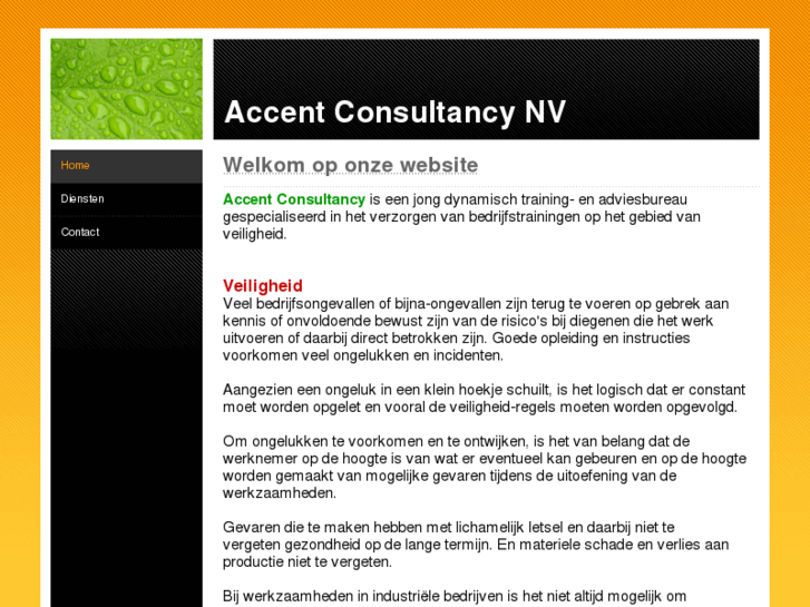 www.accent-consultancy.com