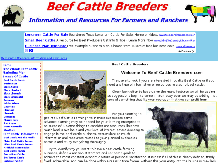 www.beefcattlebreeders.com