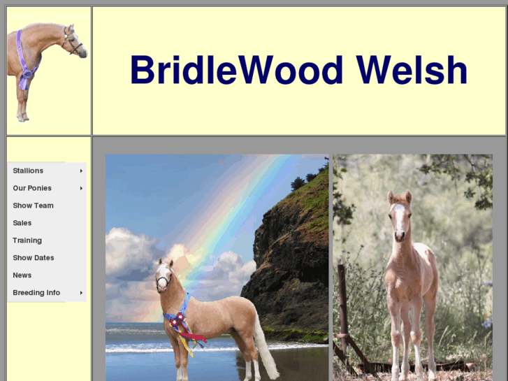 www.bridlewoodwelsh.com