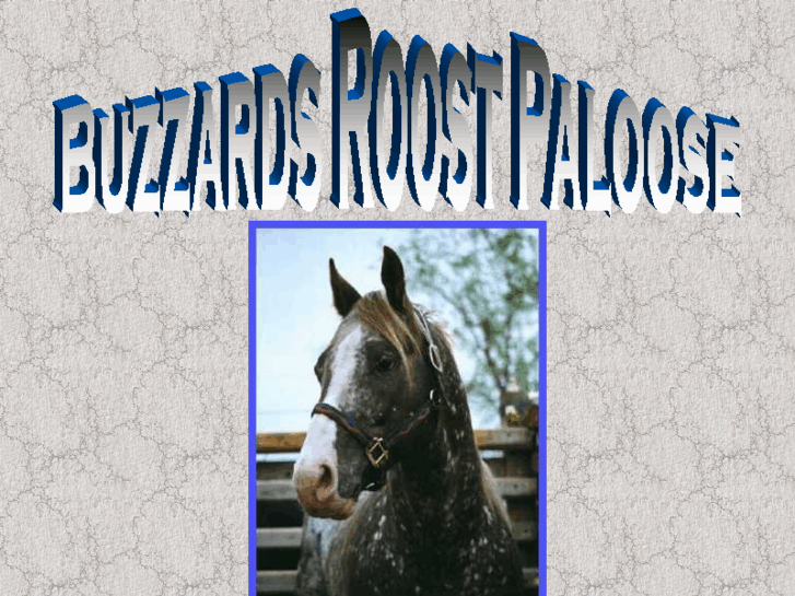 www.buzzardsroostpaloose.com