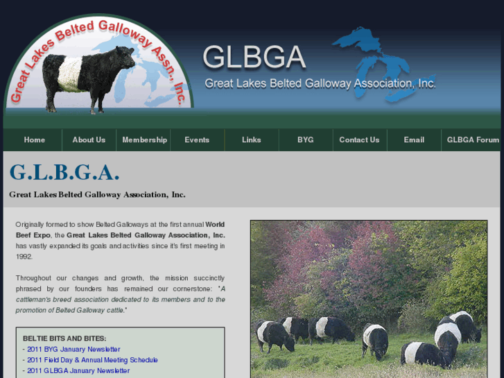 www.greatlakesbeltie.com