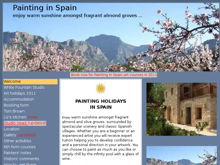 www.paintinginspain.com