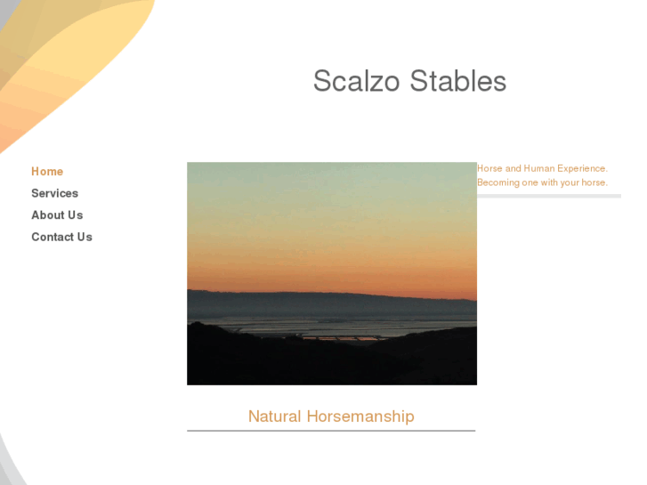 www.scalzostables.com