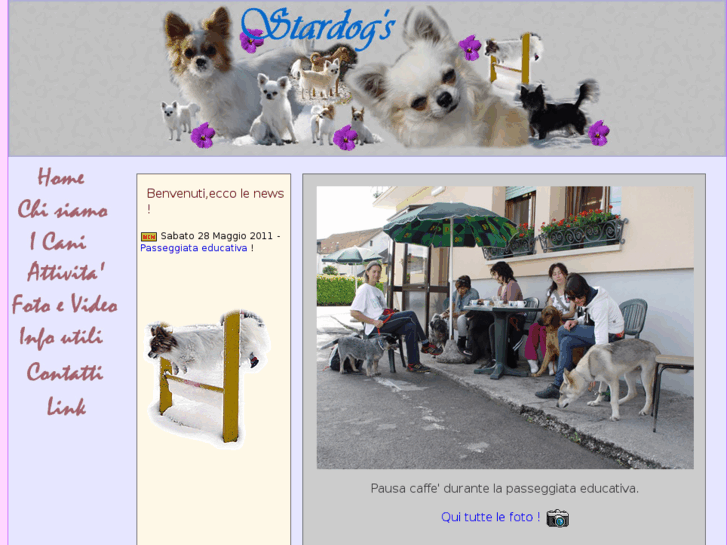 www.stardogs.it