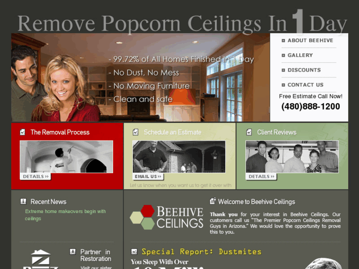 www.beehiveceilings.com