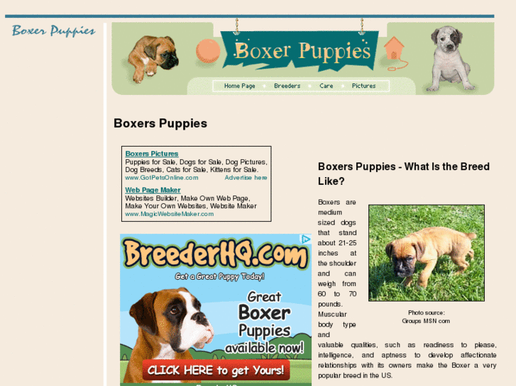 www.boxers-puppies.com