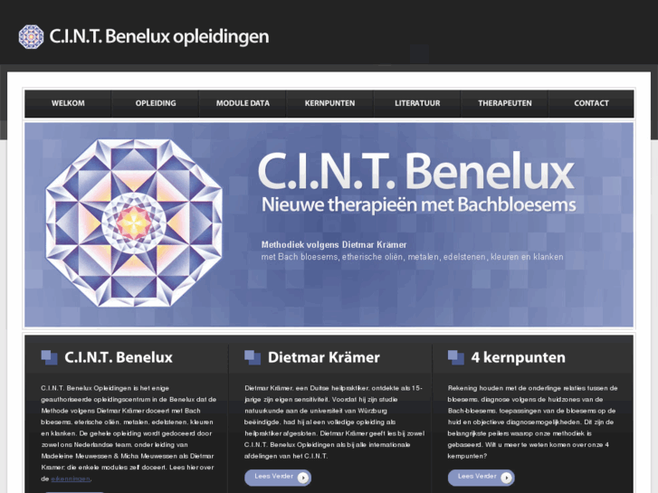 www.cint.nl