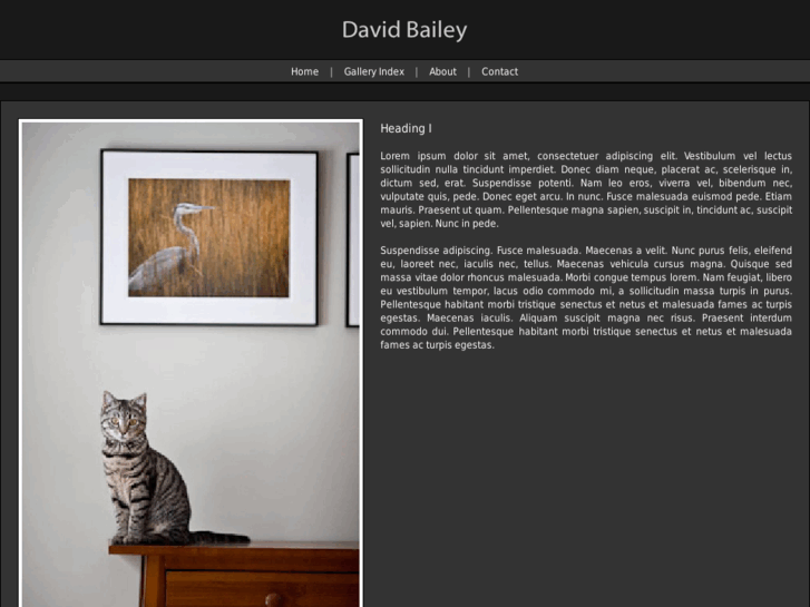 www.davidwbailey.com