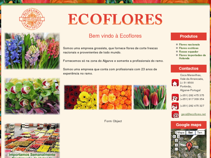 www.ecoflores.net