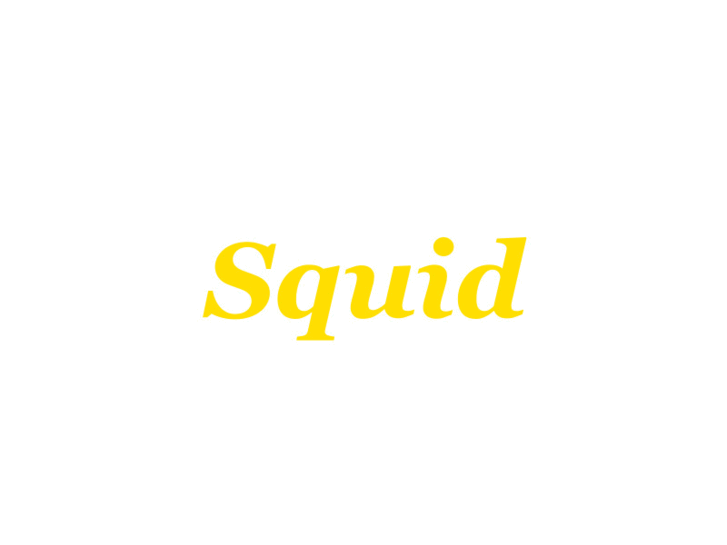 www.squidarch.com