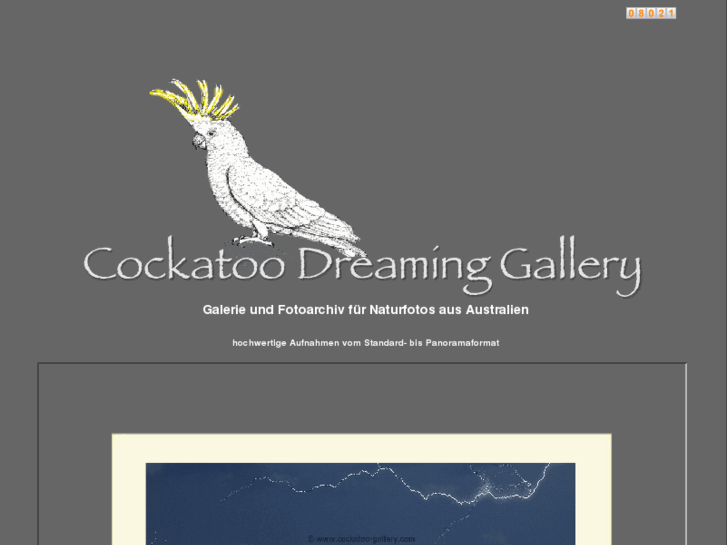 www.cockatoo-gallery.com