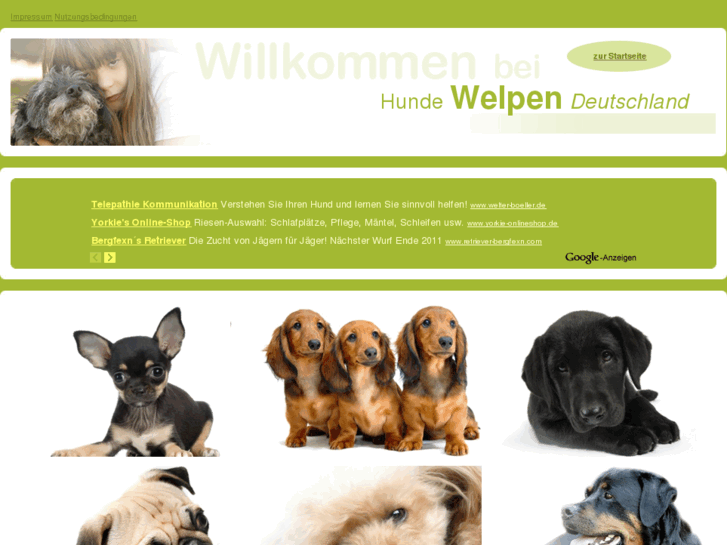 www.hunde-welpen-deutschland.de