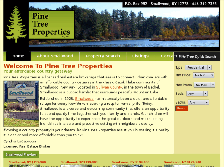 www.pinetreeproperties-ny.com