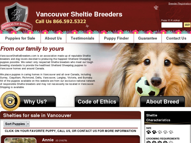 www.vancouversheltiebreeders.com