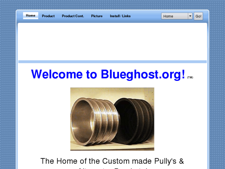 www.blueghost.org