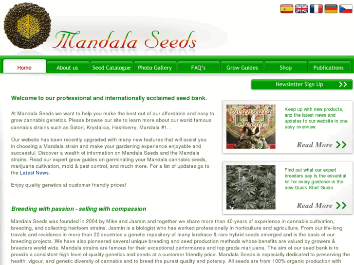 www.mandalaseeds.com