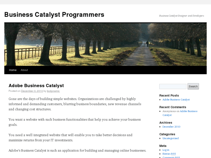 www.businesscatalystprogrammers.com
