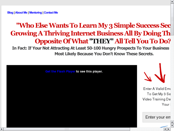 www.netmlmsuccess.net
