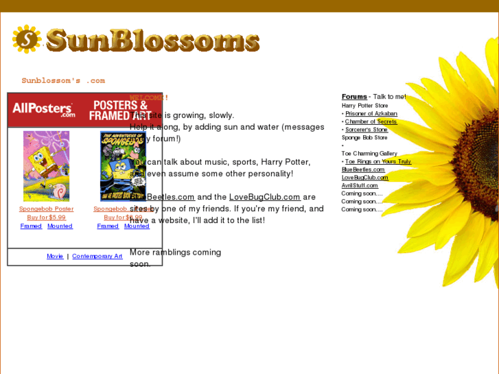 www.sunblossoms.com