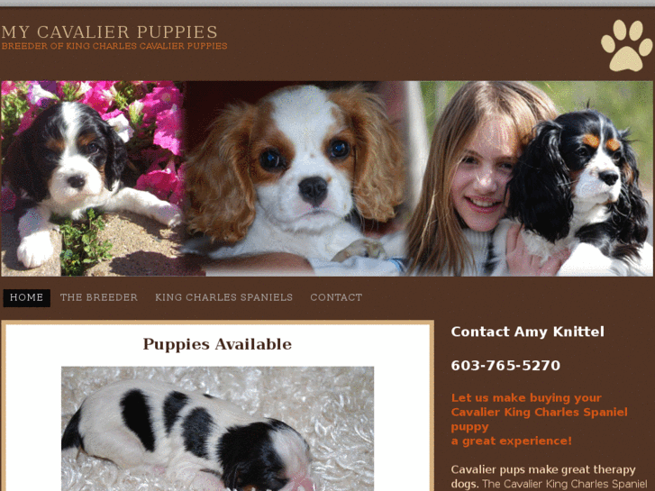 www.mycavalierpups.com