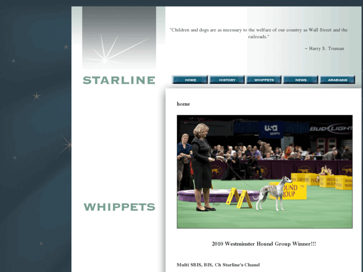 www.starlinewhippets.com