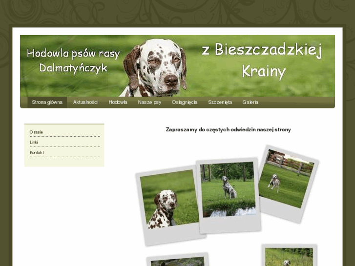 www.zbieszczadzkiejkrainy.net