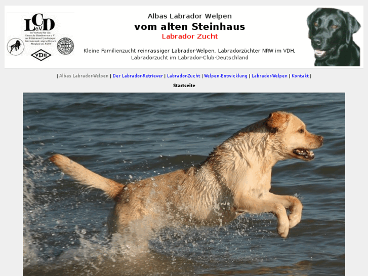 www.albas-labrador-welpen.de