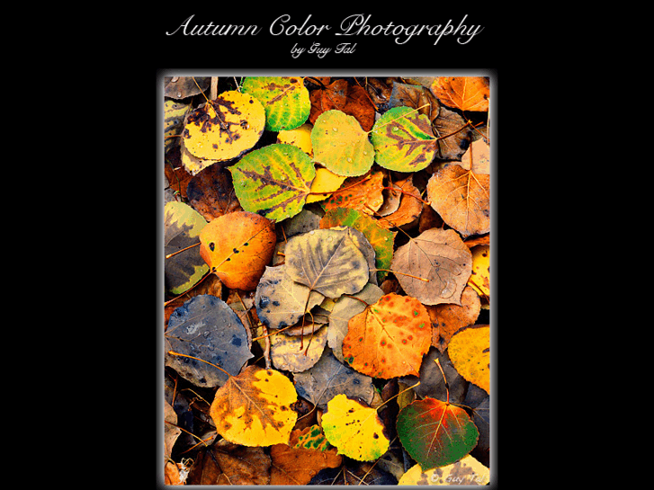 www.autumncolorphoto.com