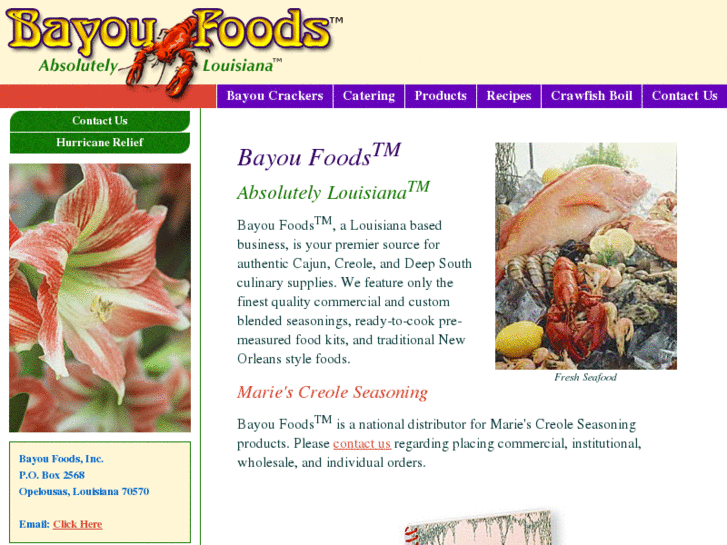 www.bayoufoods.com