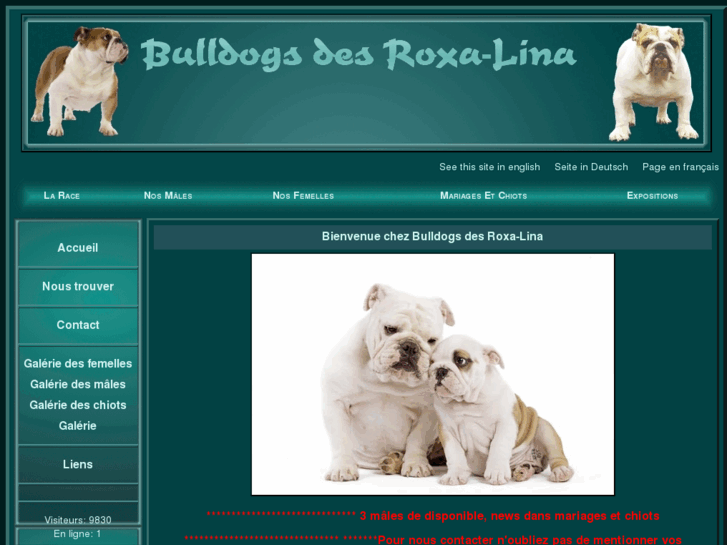 www.bulldogsfrance-normandie.com