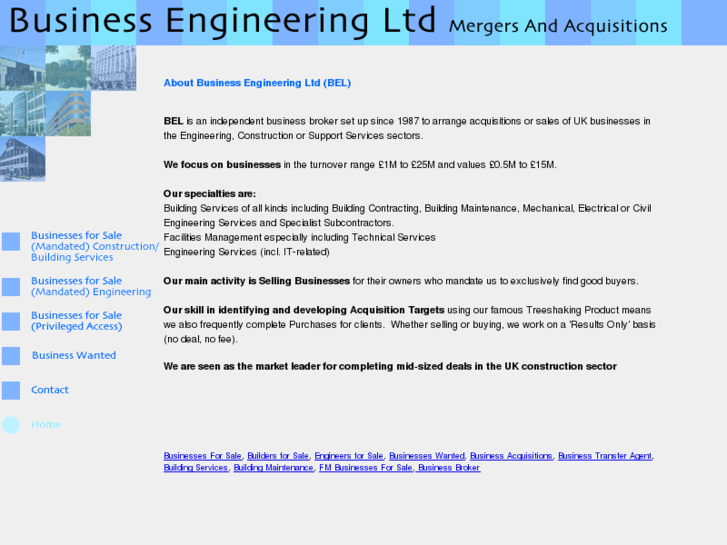 www.business-engineering.biz