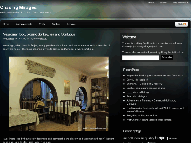 www.chasingmirages.com