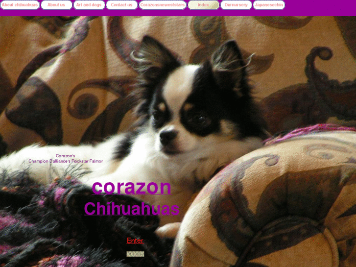 www.corazonchihuahuas.com