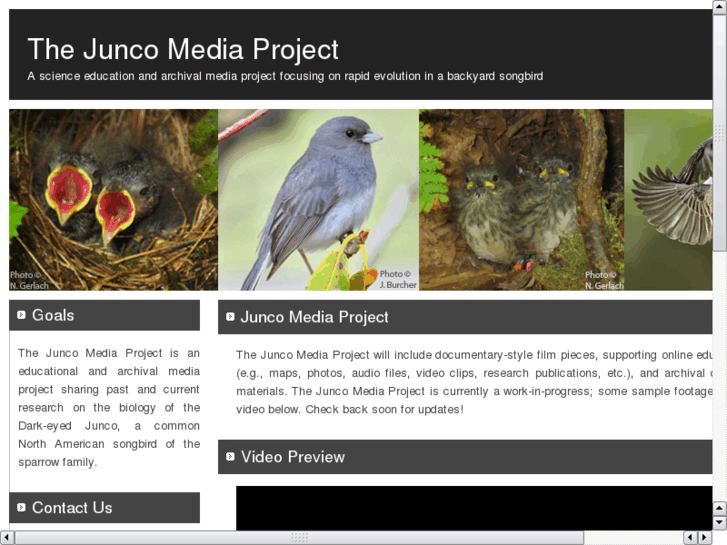 www.juncoproject.com