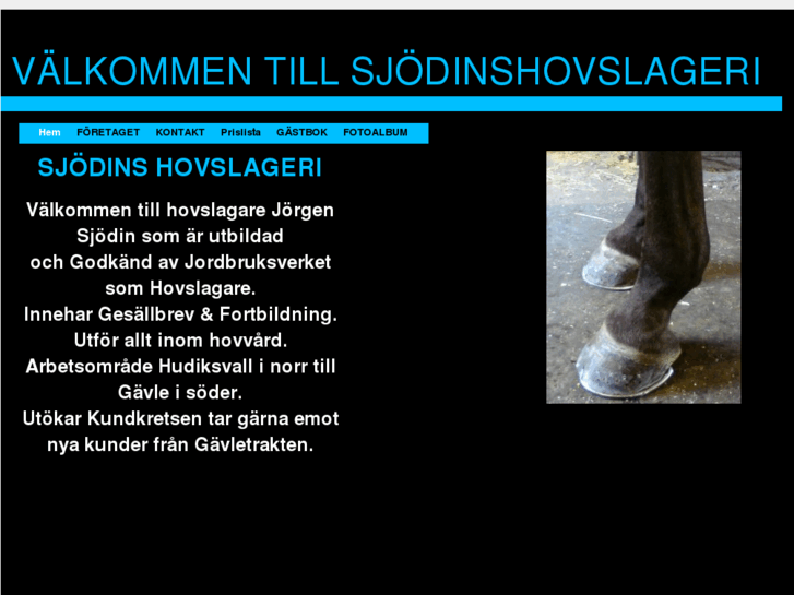 www.sjodinshovslageri.se