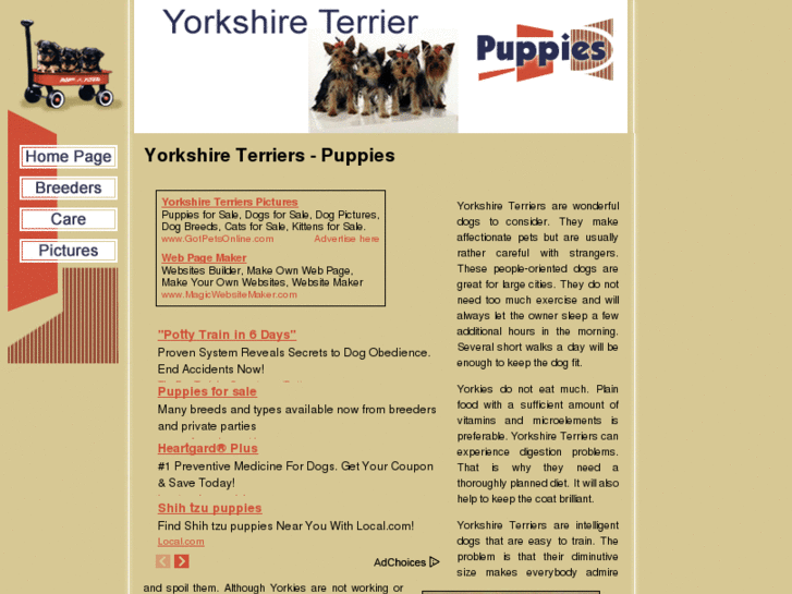www.yorkshire-terriers-puppies.com