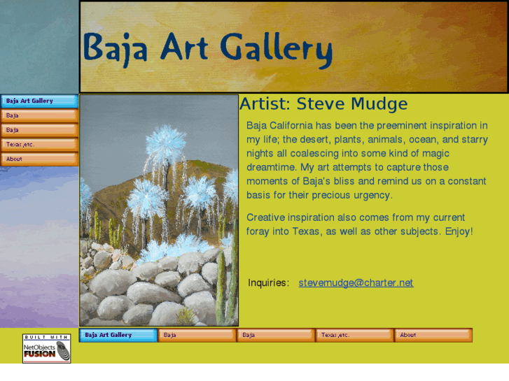 www.bajaartgallery.com