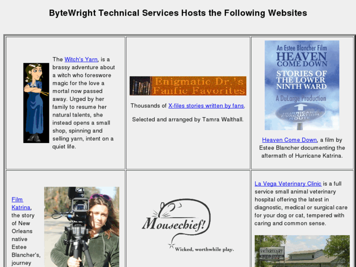 www.bytewright.com