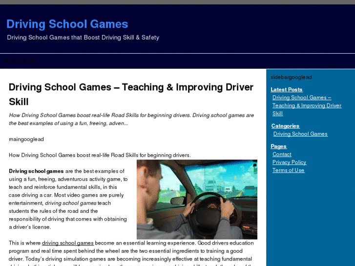 www.drivingschoolgames.net