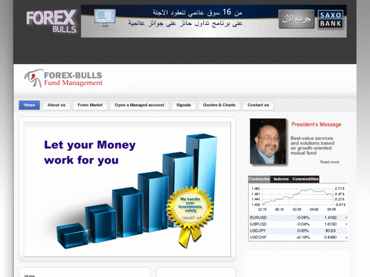 www.forex-bulls.com