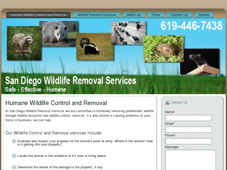 www.sdwildliferemoval.com