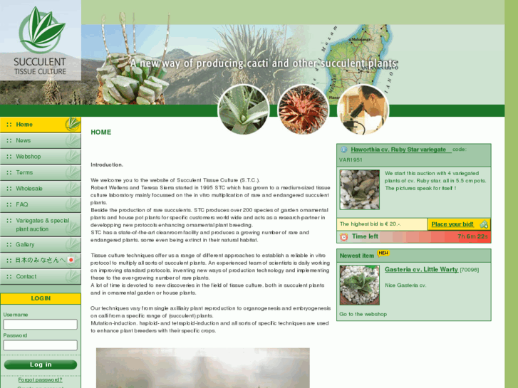 www.succulent-tissue-culture.com
