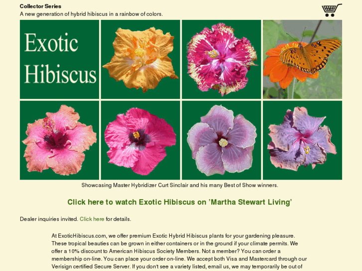 www.exotichibiscus.com