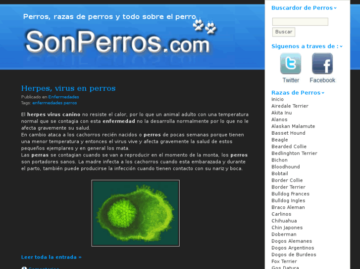www.sonperros.com
