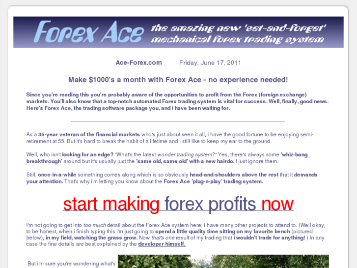 www.ace-forex.com